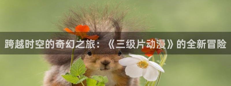 哈哩哈哩哩官网