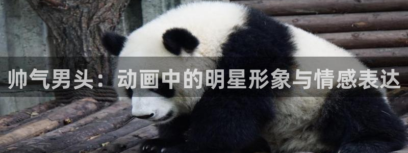 哈哩哈哩在线免费观看