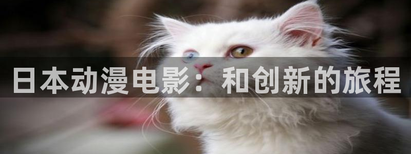 哈哩哈哩网站电视剧