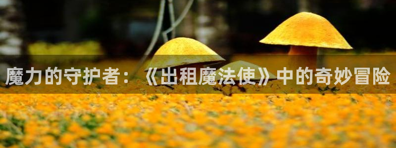 哈哩哈哩在免费观看